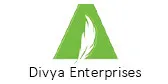 Divya Enterprises logo