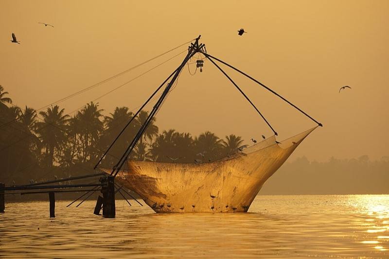 Chinese fishing nets, Kochi